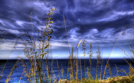 501010 (a): :2560x1600